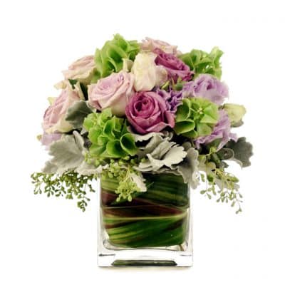 Violet Posy